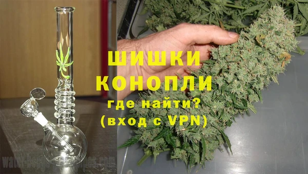 бошки Алексин