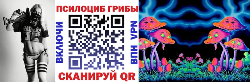 omg ONION  Краснокамск  Псилоцибиновые грибы мухоморы 