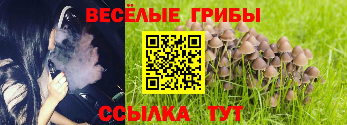 Краснокамск  Галлюциногенные грибы GOLDEN TEACHER  Вход с VPN 